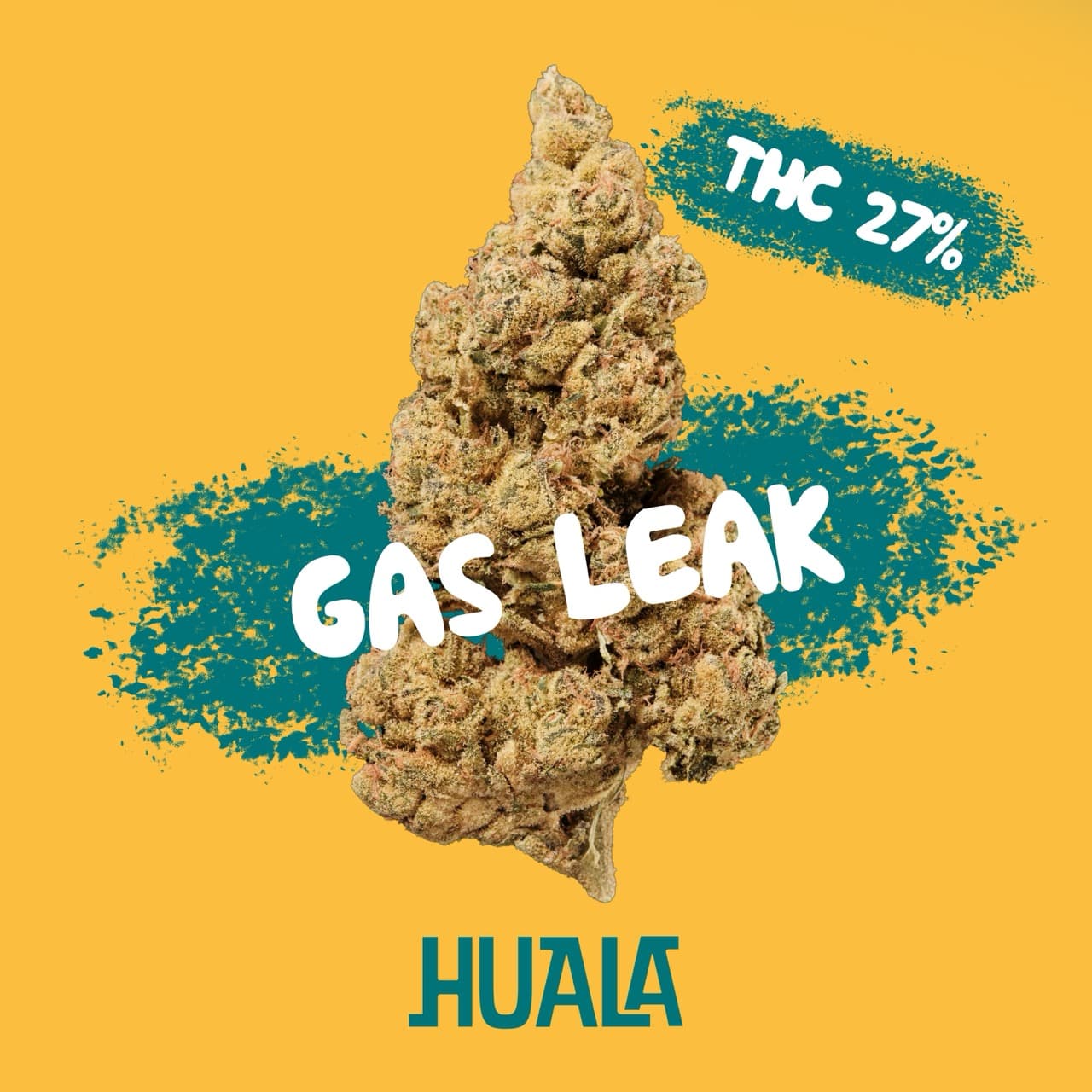 Huala 27/1 PT GLE