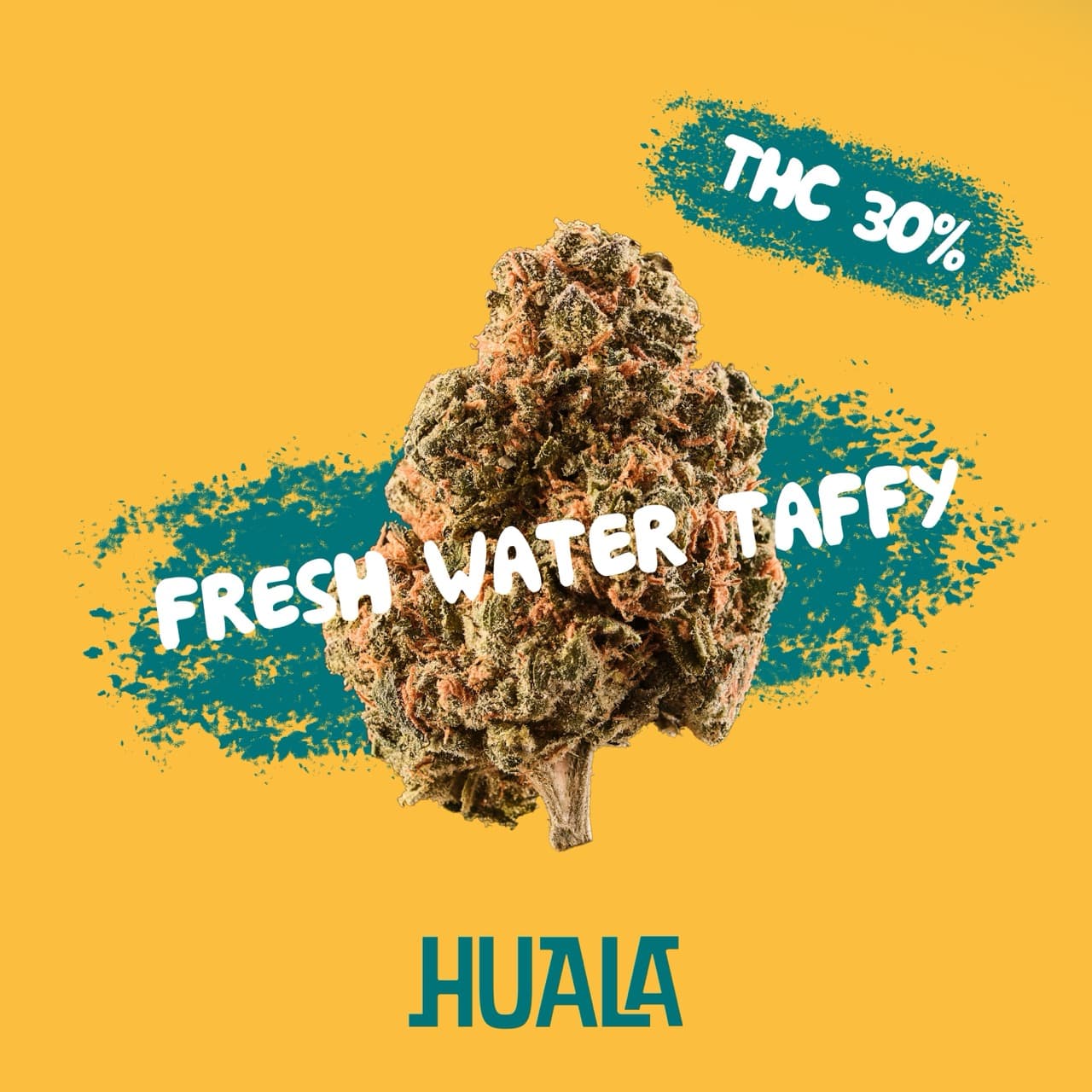 Huala 30/1 CA FWT
