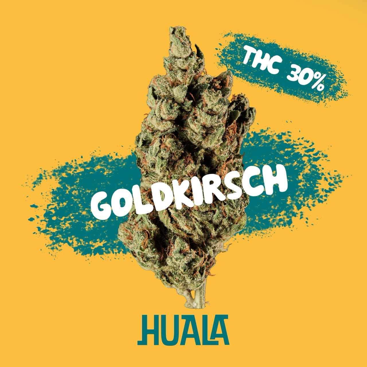 Huala 30/1 CA GOL