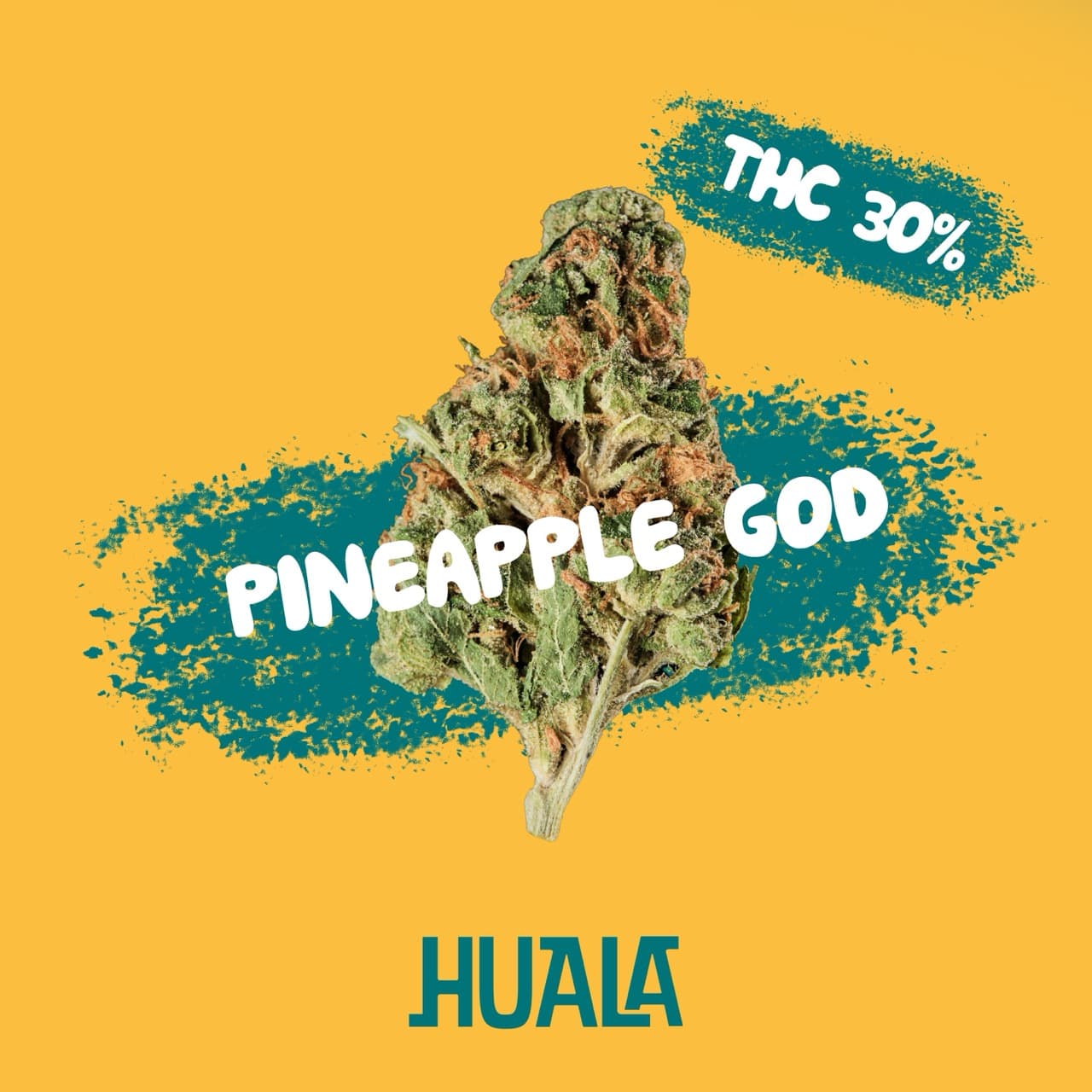Huala 30/1 CA POG