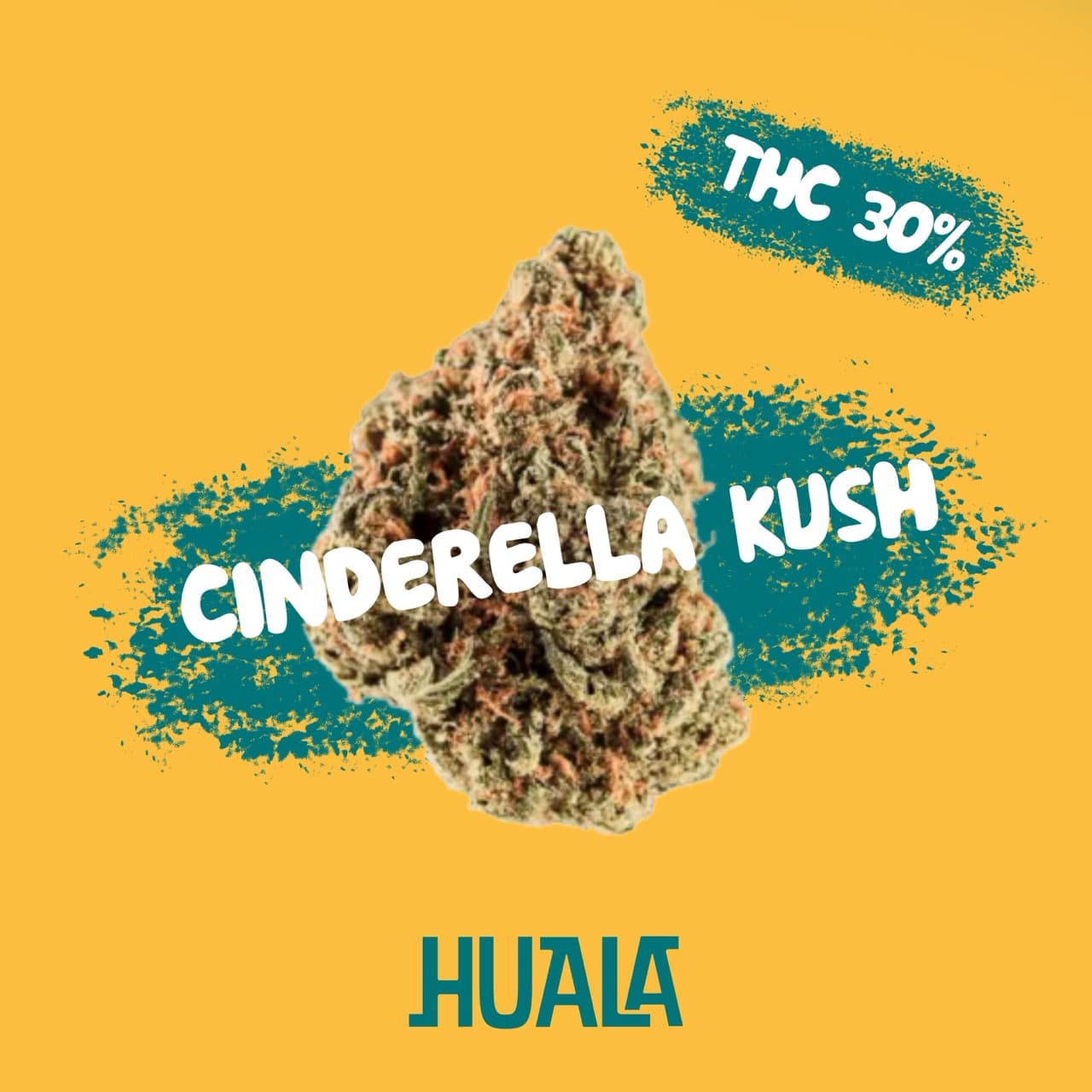 Huala 30/1 UK CIN