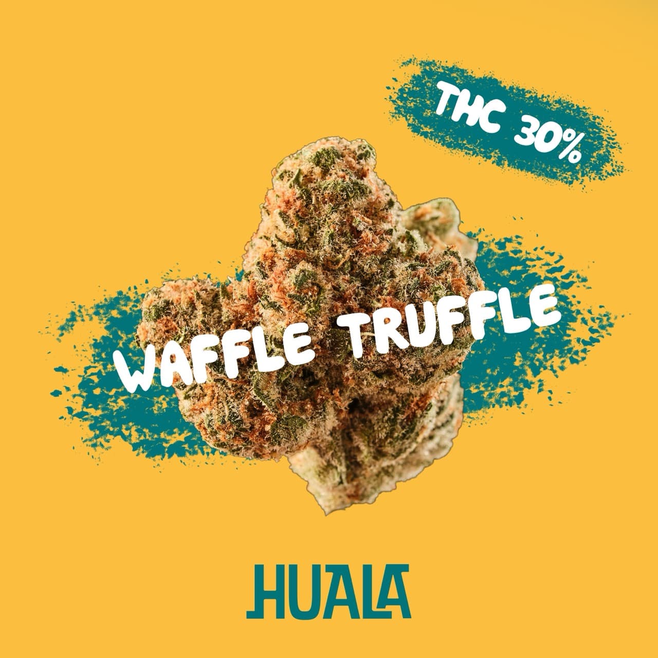 Huala 30/1 UK WTR