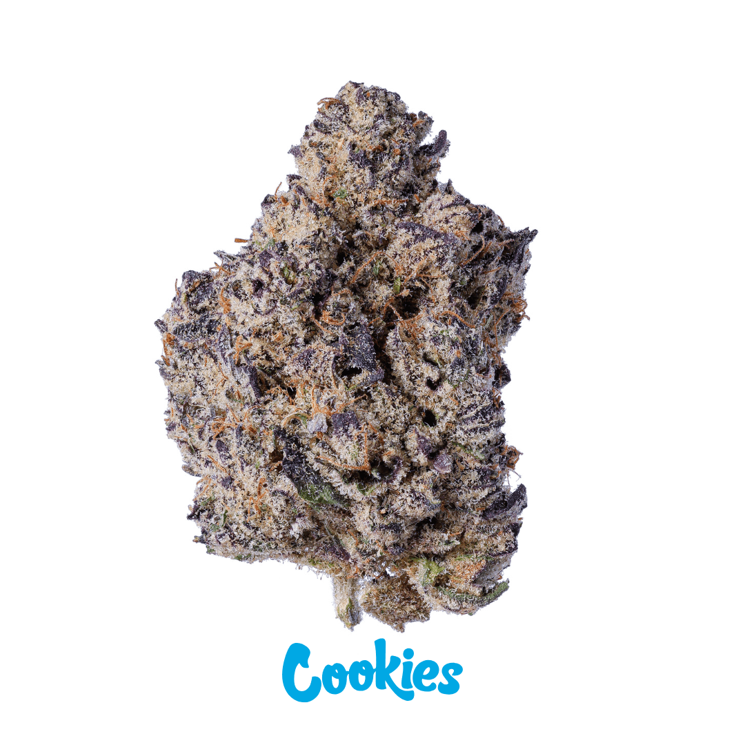 INCR Cookies ORiGiNALS HR 26/1