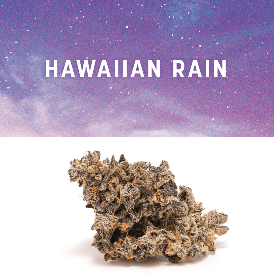 INCR Cookies ORiGiNALS HR 26/1