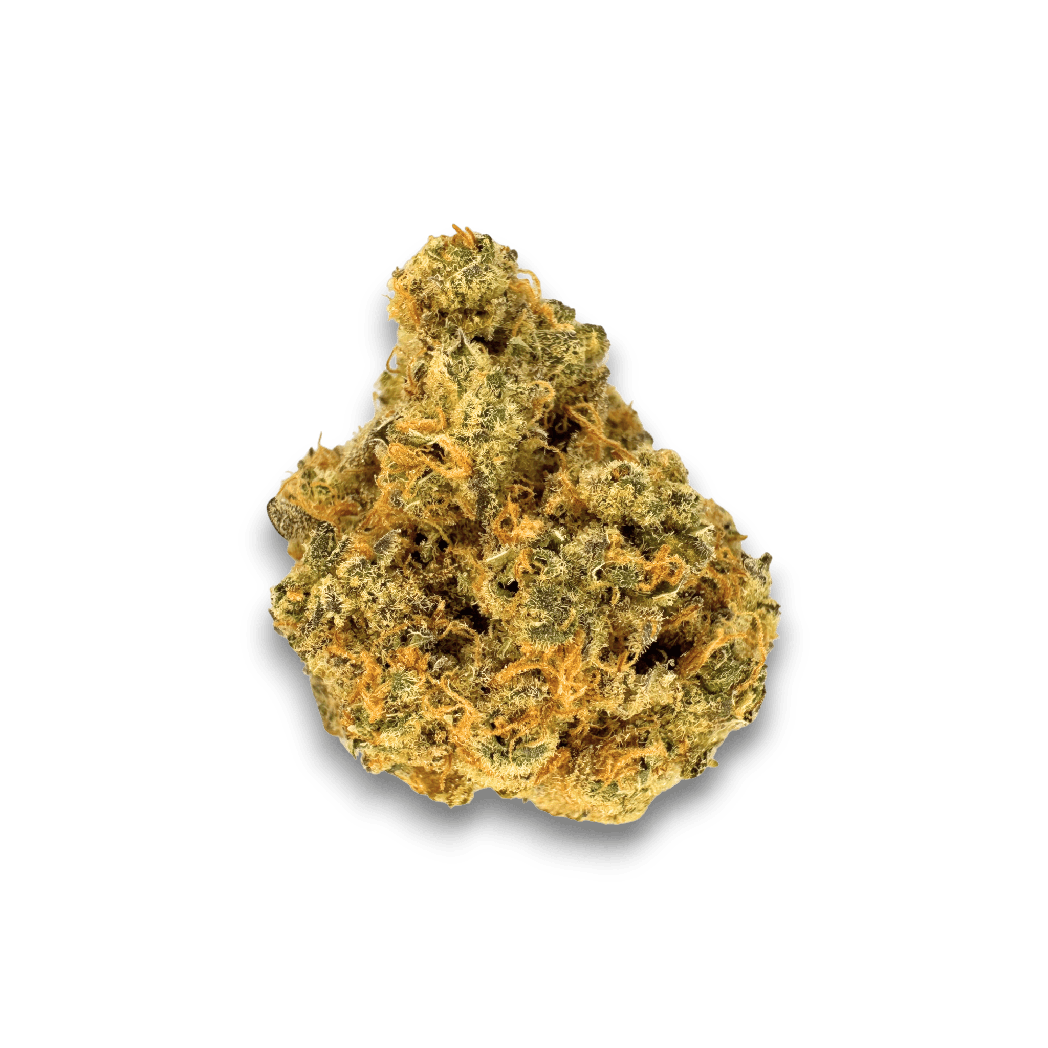 J.R. Strain GT 25/1