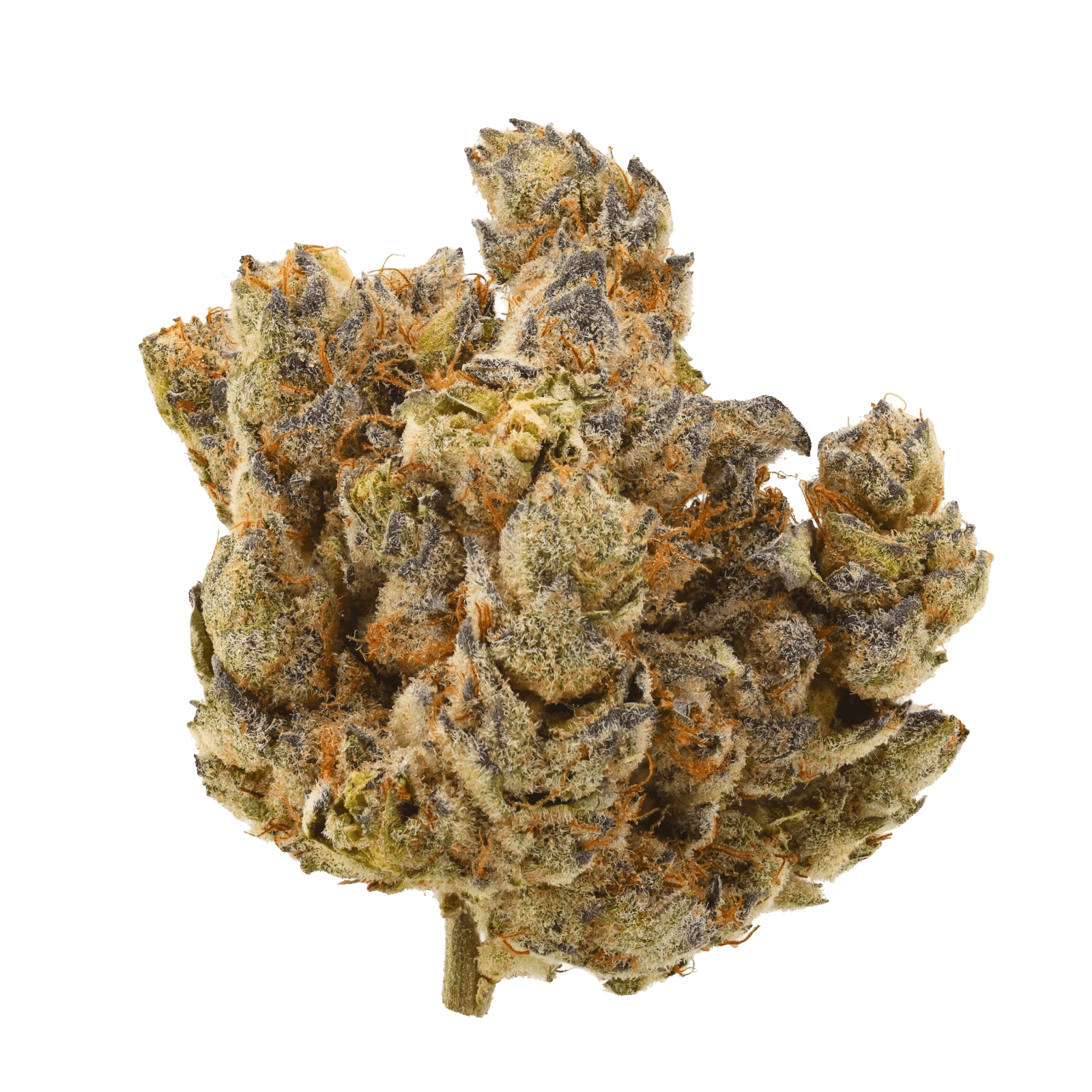 Med. Cannabis