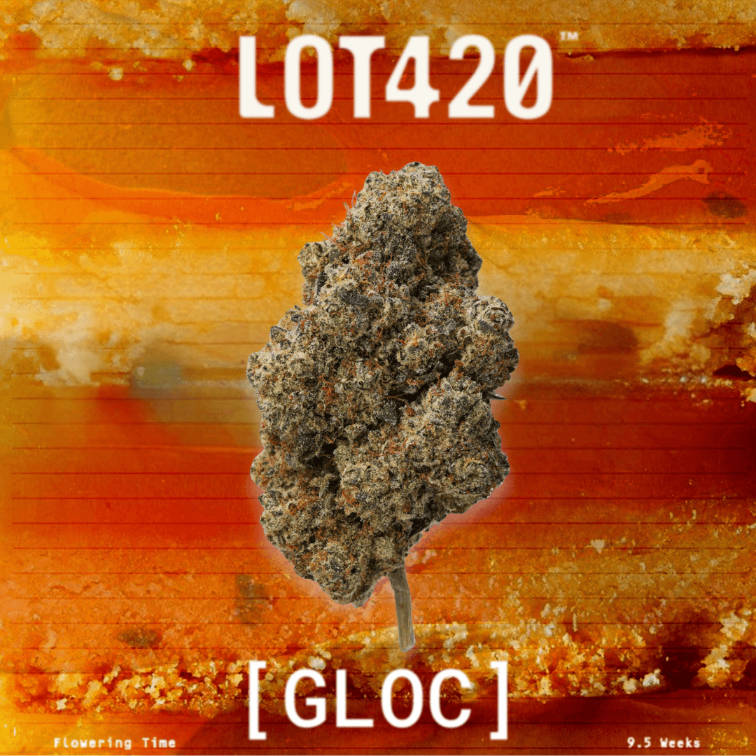 LOT 420 GLOC 29/1