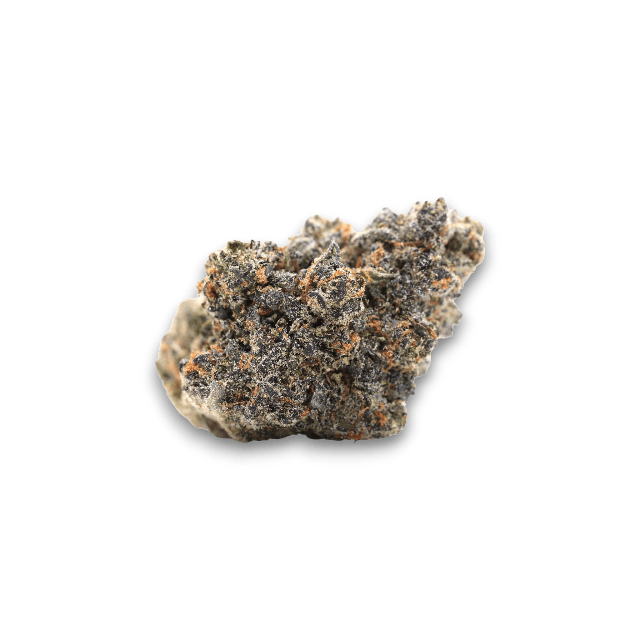 LOT 420 ATA