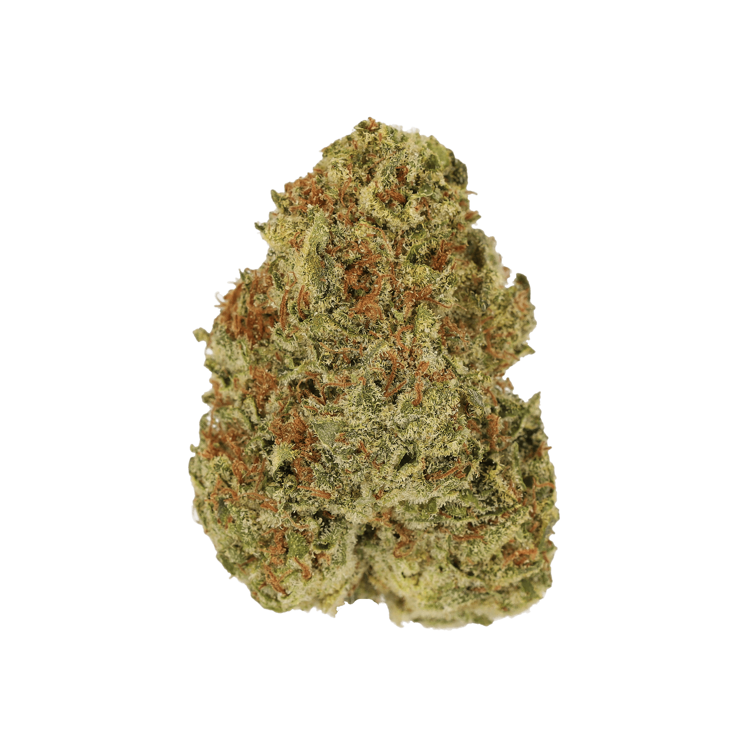Luana 24/1 OG Watermelon