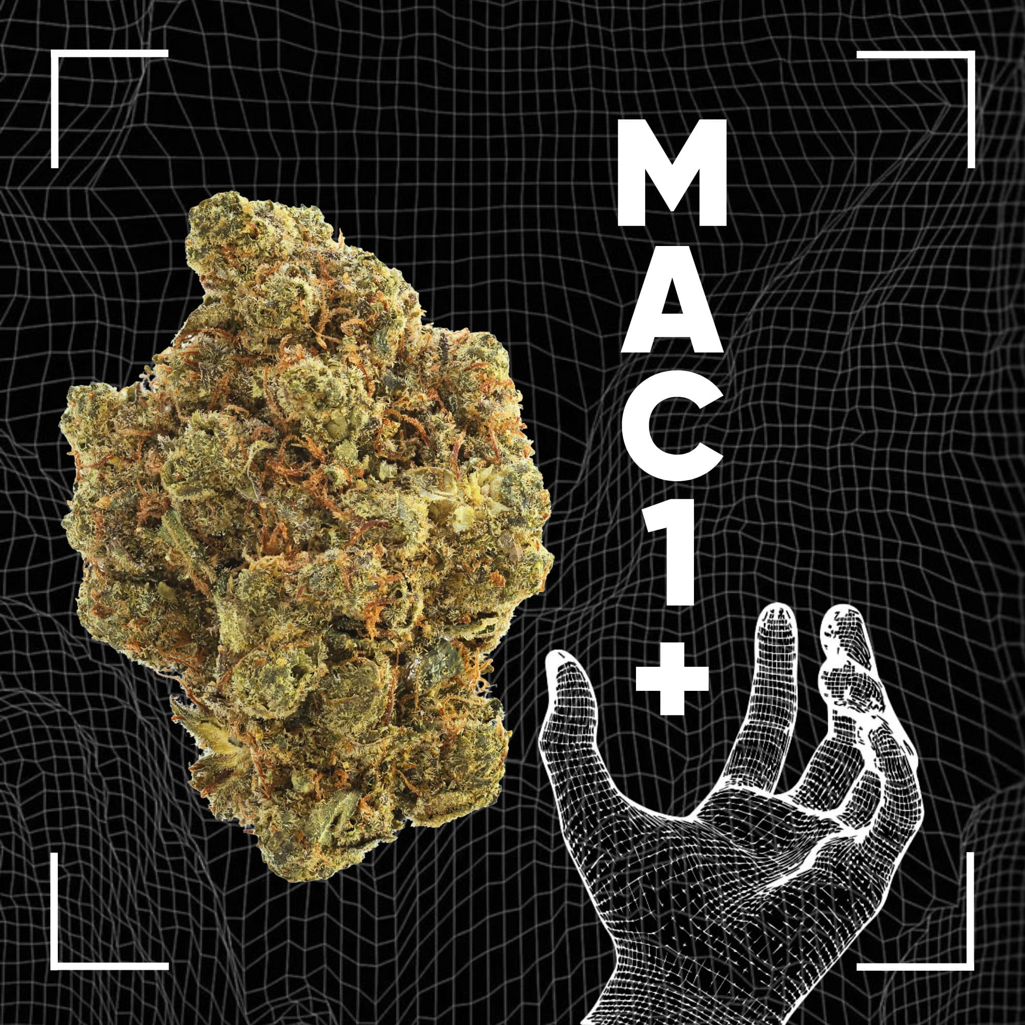 Med. Cannabis
