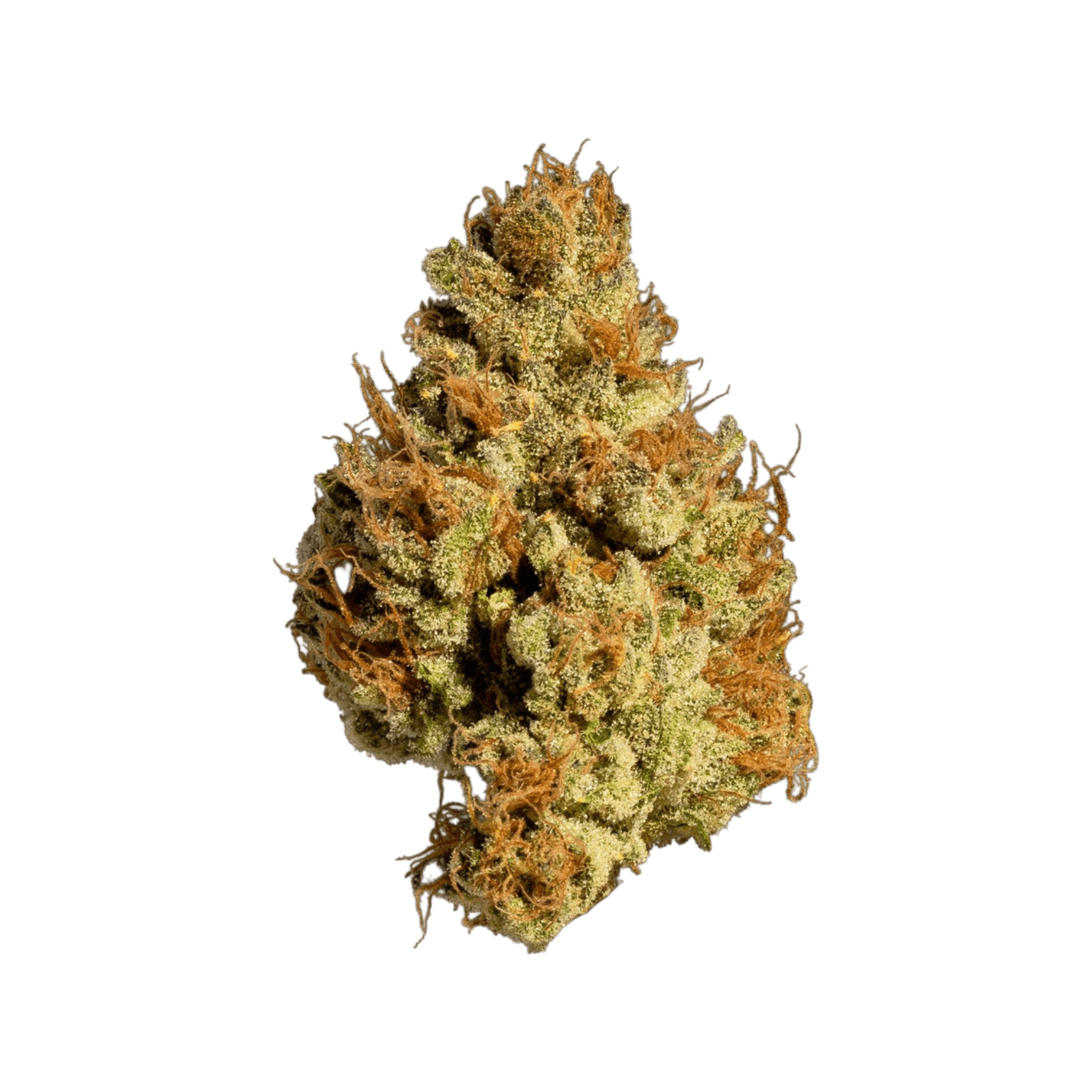 Med. Cannabis