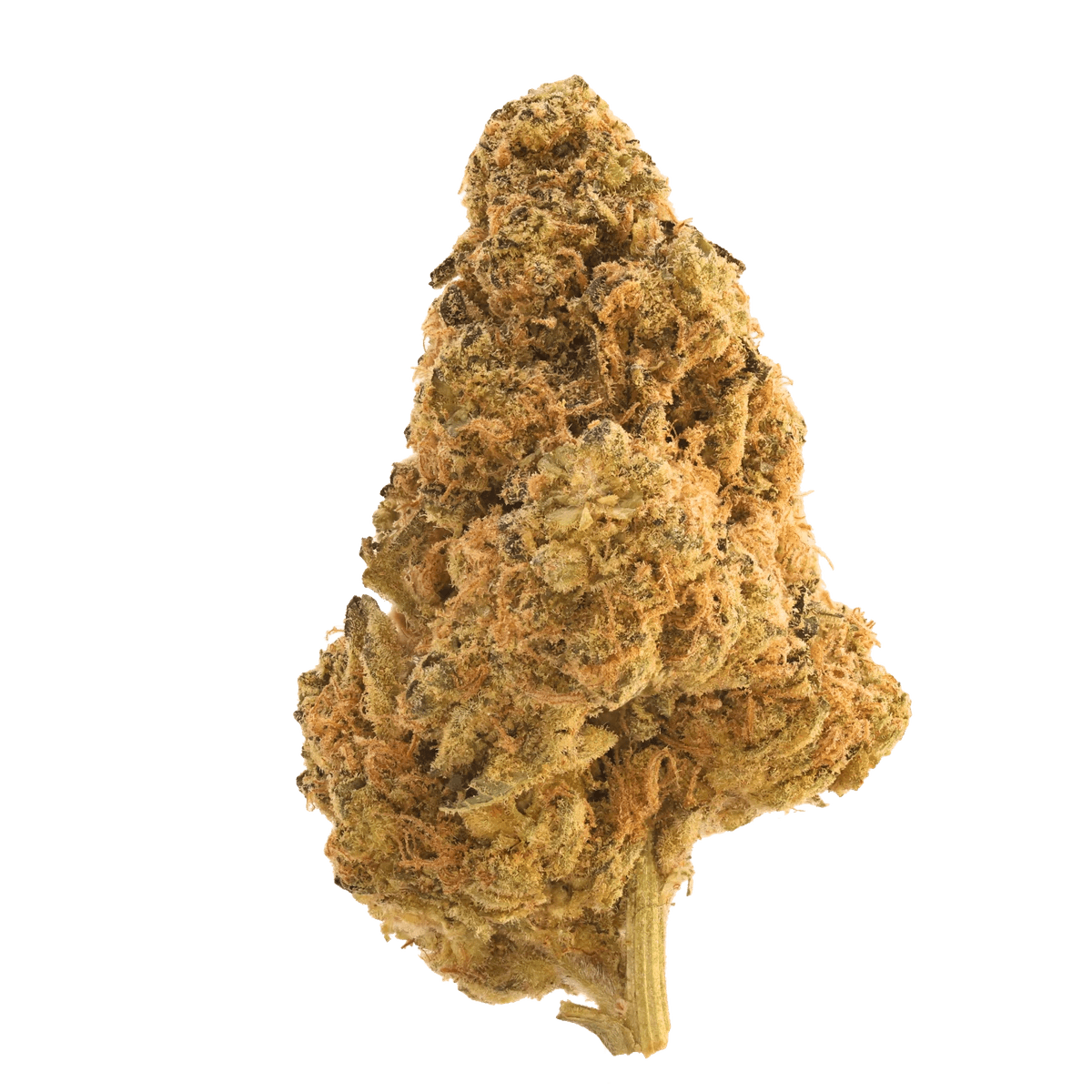 Origine Nature MED 26/1 Medellin