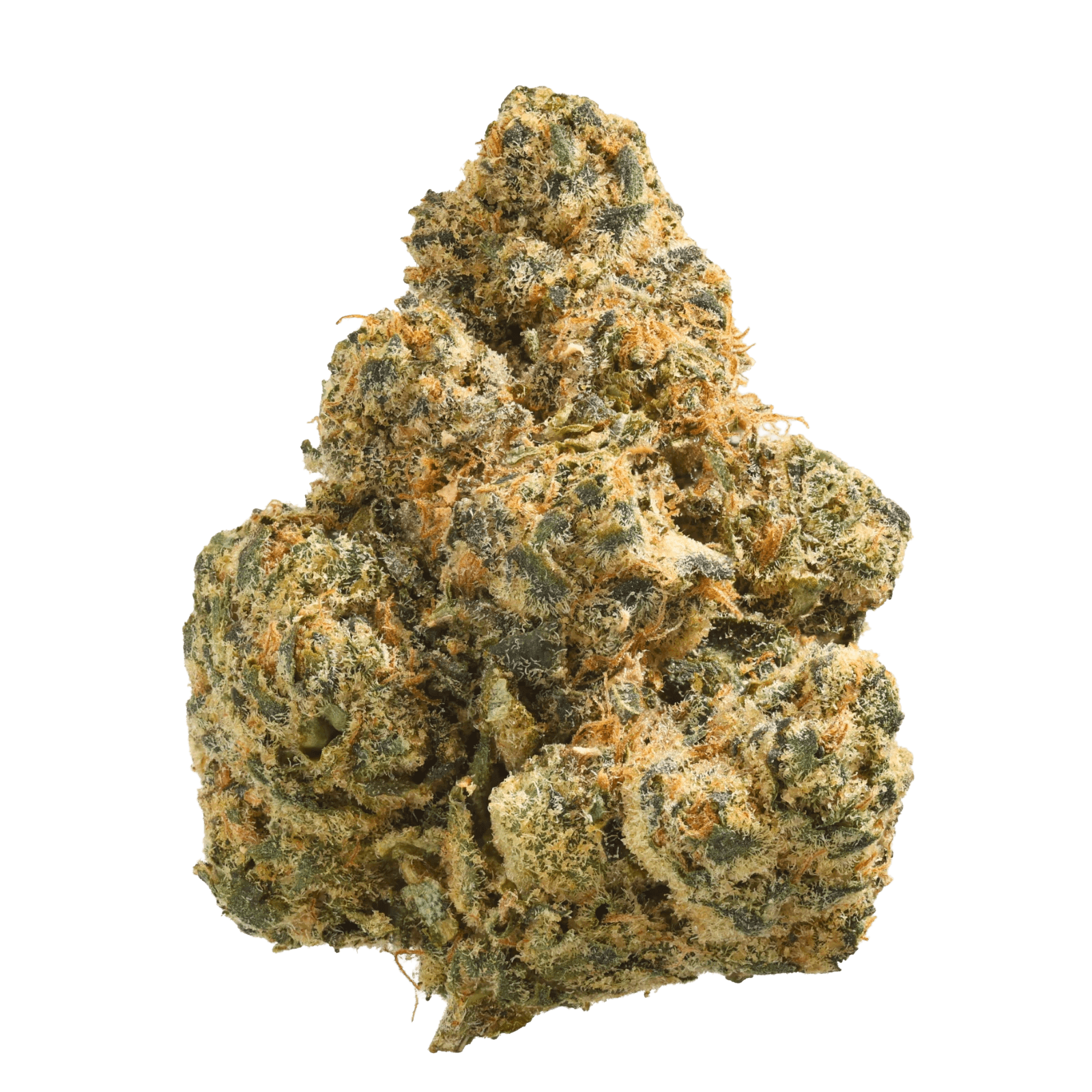 Origine Nature OC 32/1