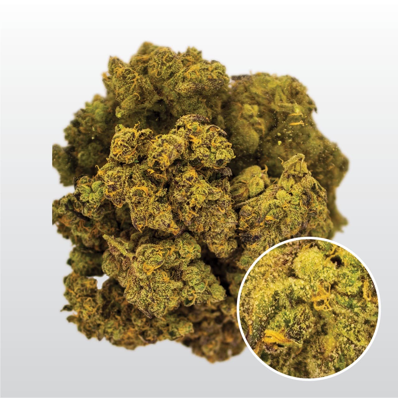 PhCann Exotics 28/1 Spritzer