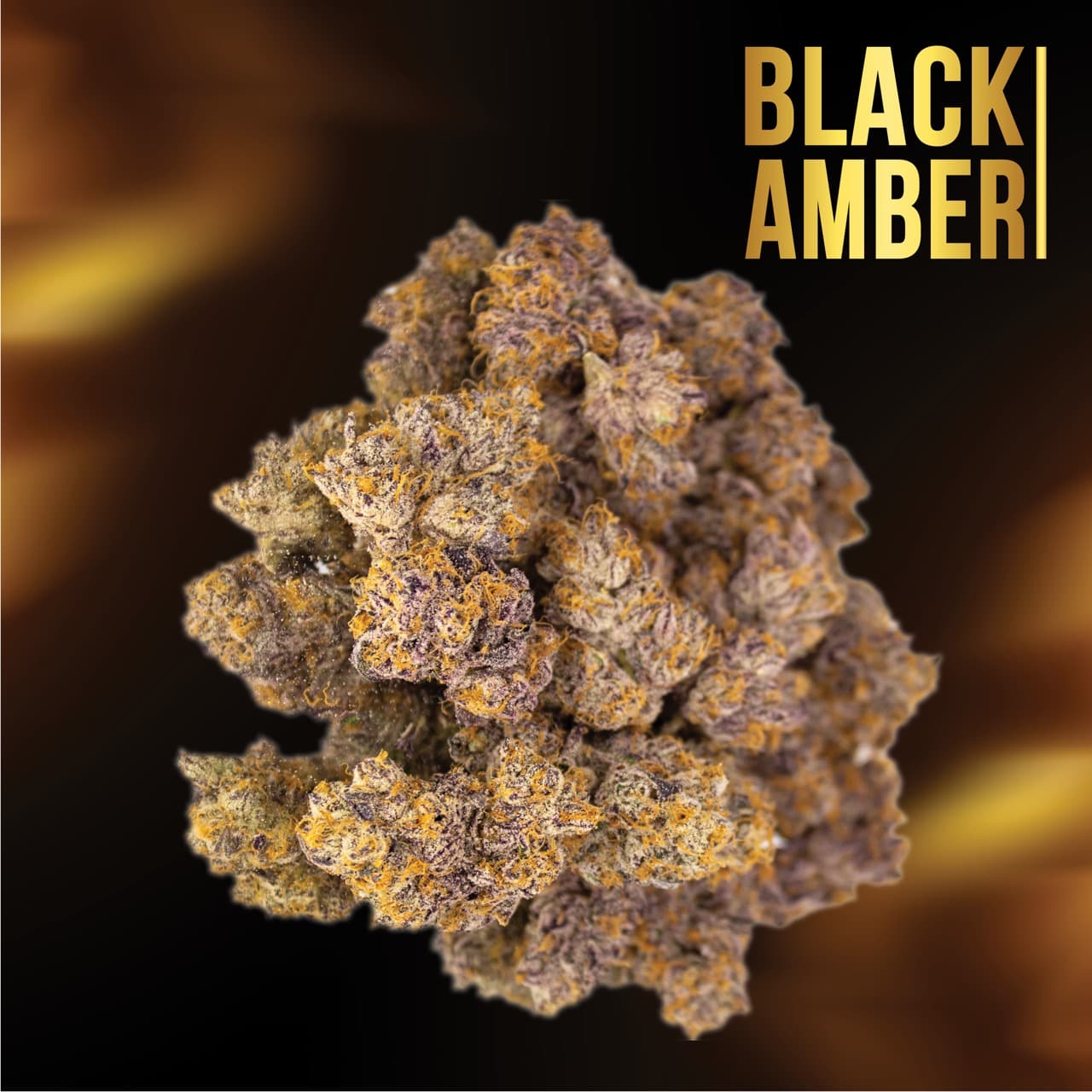 PhCann Exotics 32/1 Black Amber