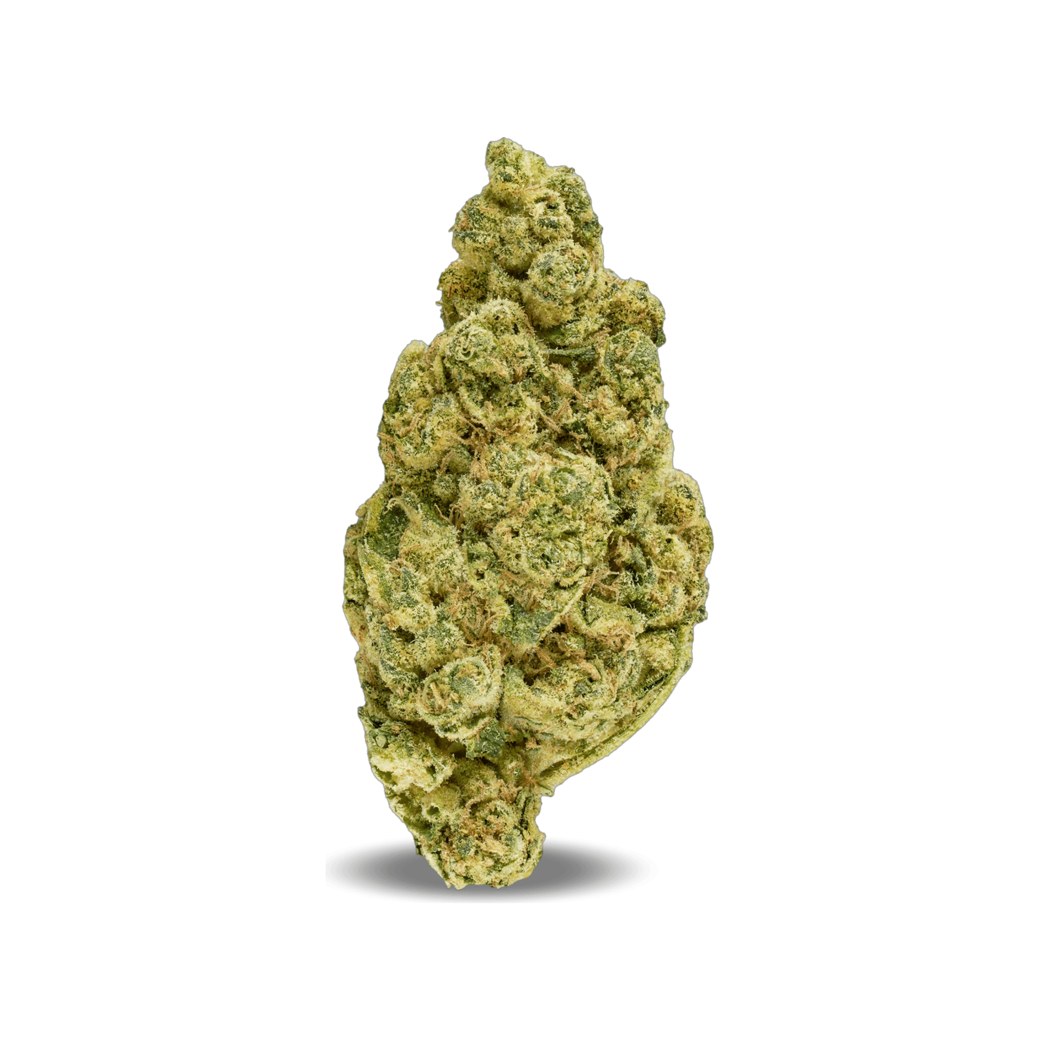Med. Cannabis