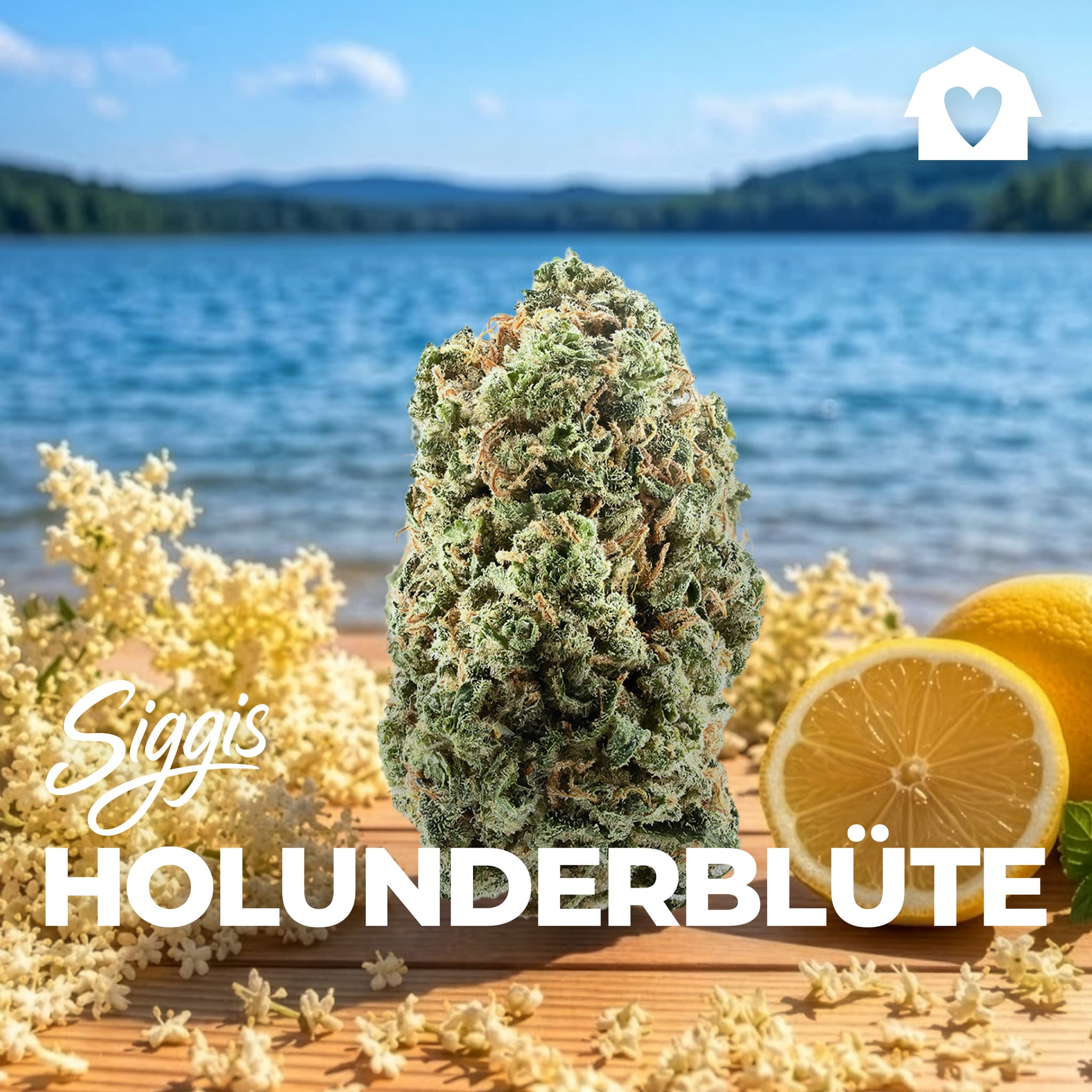 Med. Cannabis