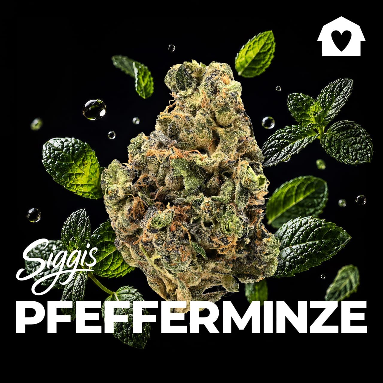 Med. Cannabis