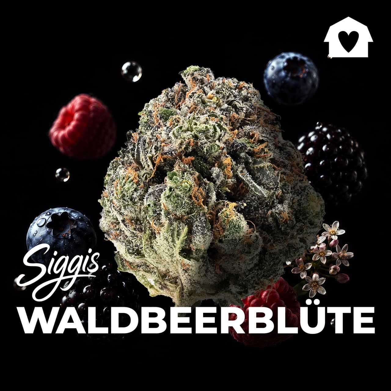 Med. Cannabis