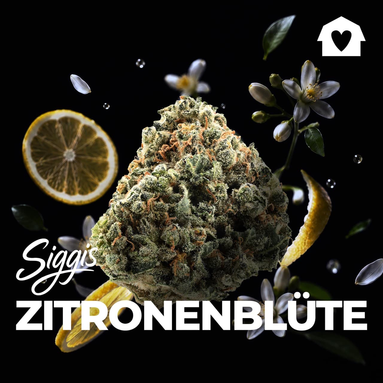 Med. Cannabis