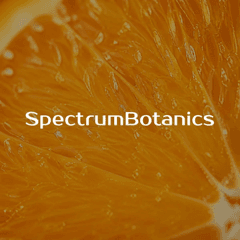 Spectrum Botanics THC Gummis Orange 20mg THC