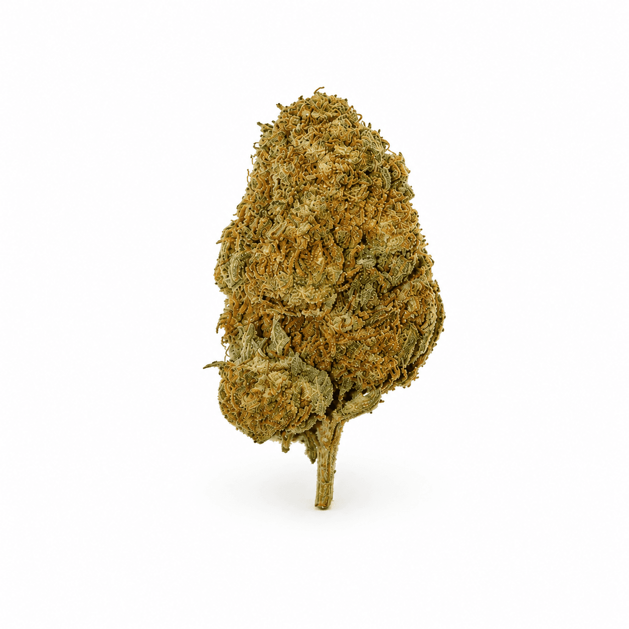Med. Cannabis
