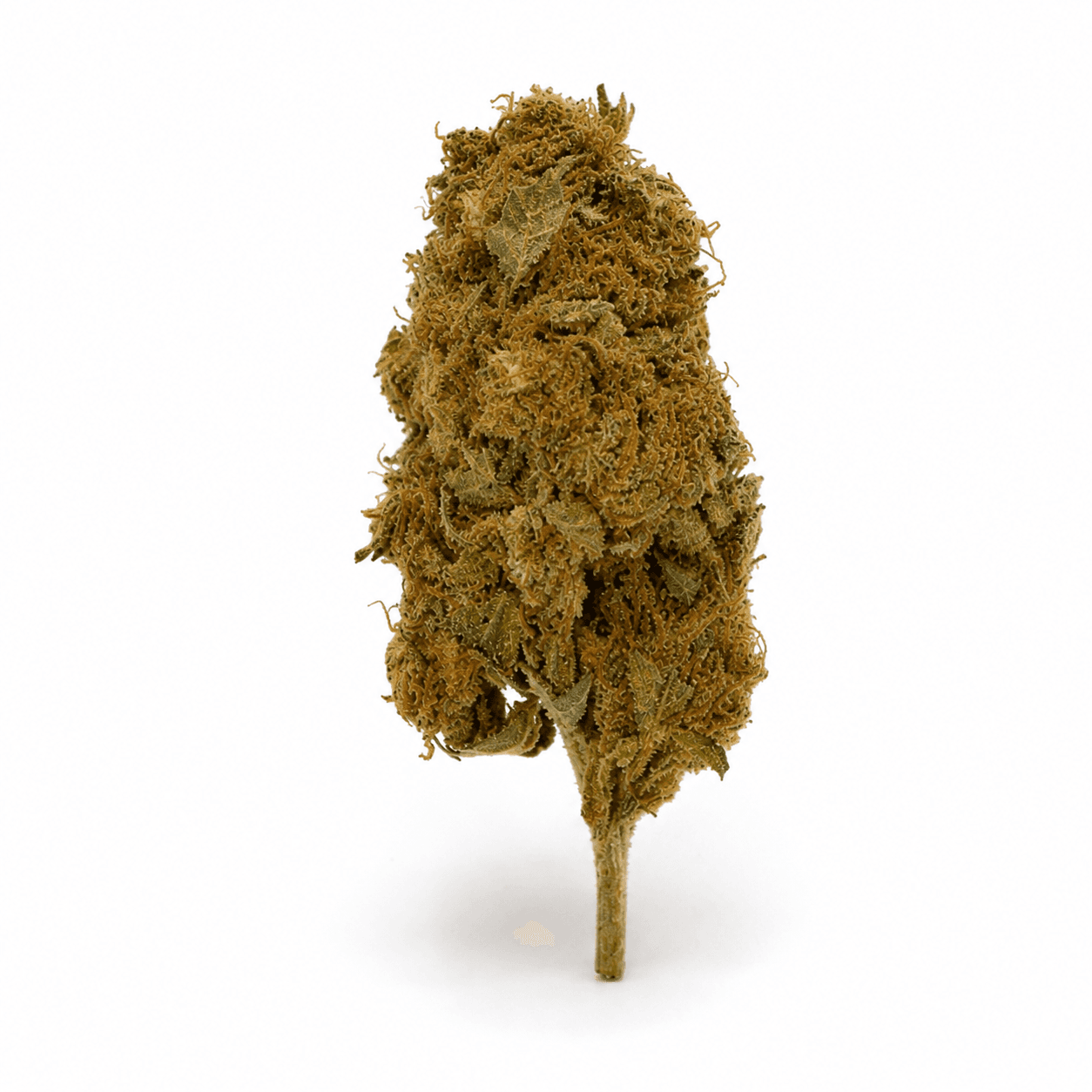 TETRA THC22 S. Diesel