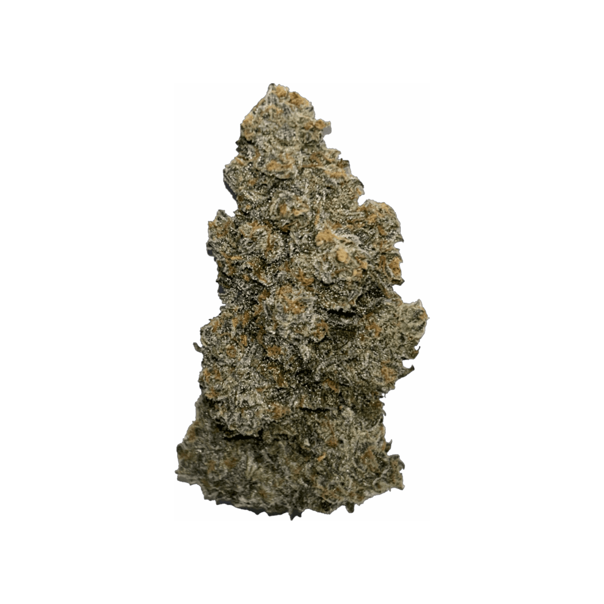 Wellford Aquaponic 28/1 SDK