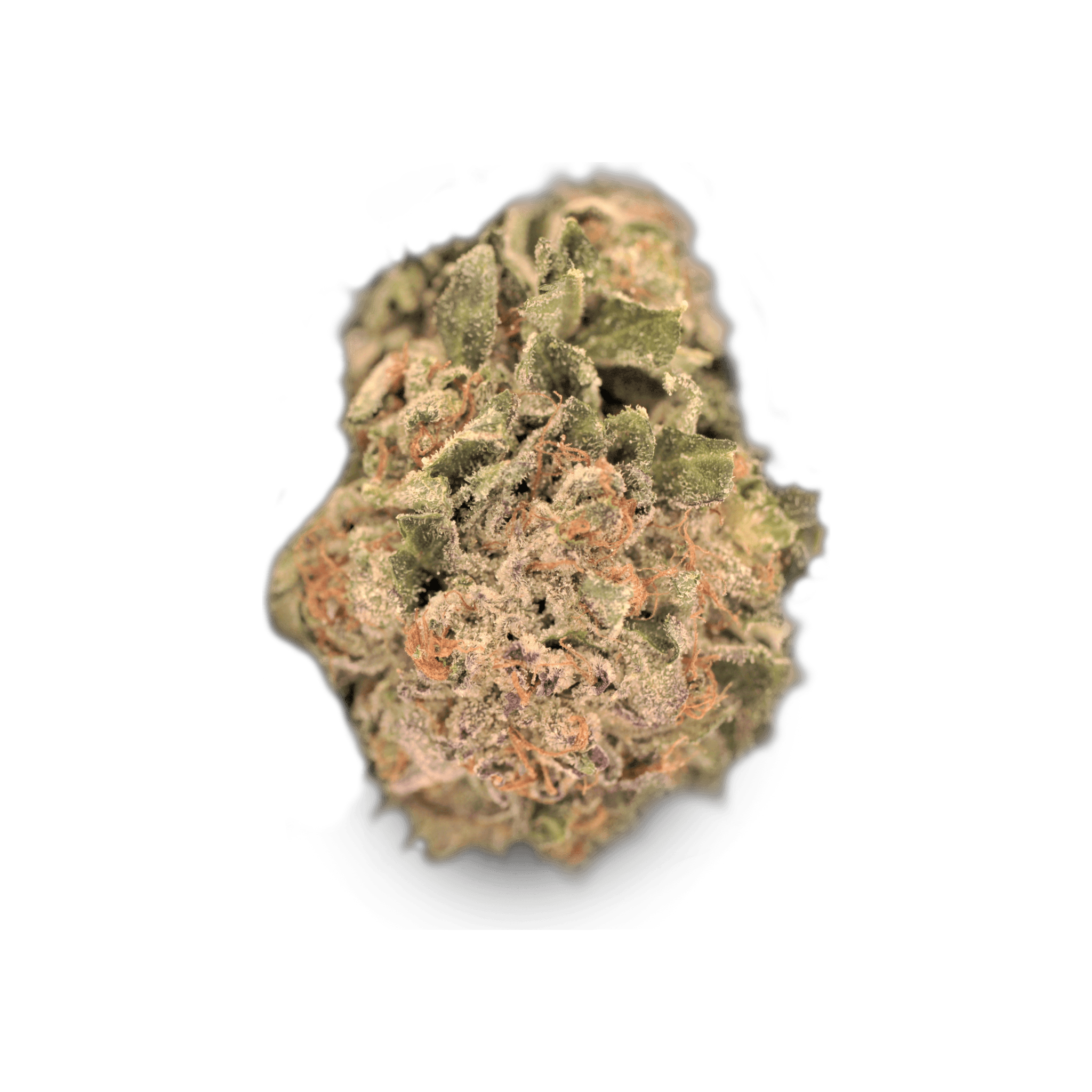 TILRAY Cannabisblüten THC25 Hybrid No.4