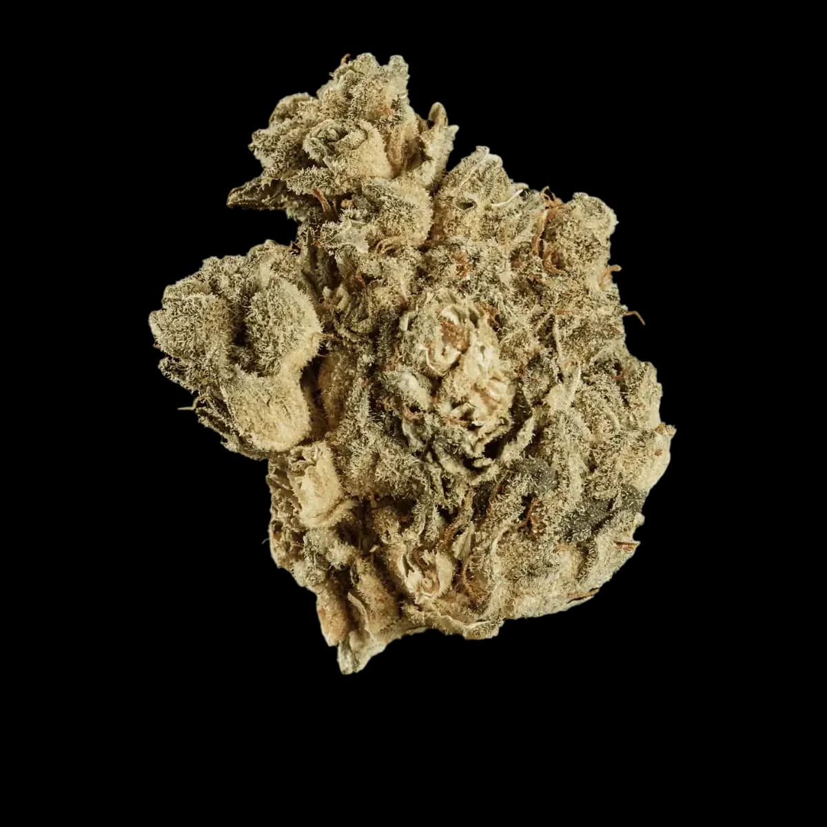 Tilray Craft Cannabisblüten THC28 PPV