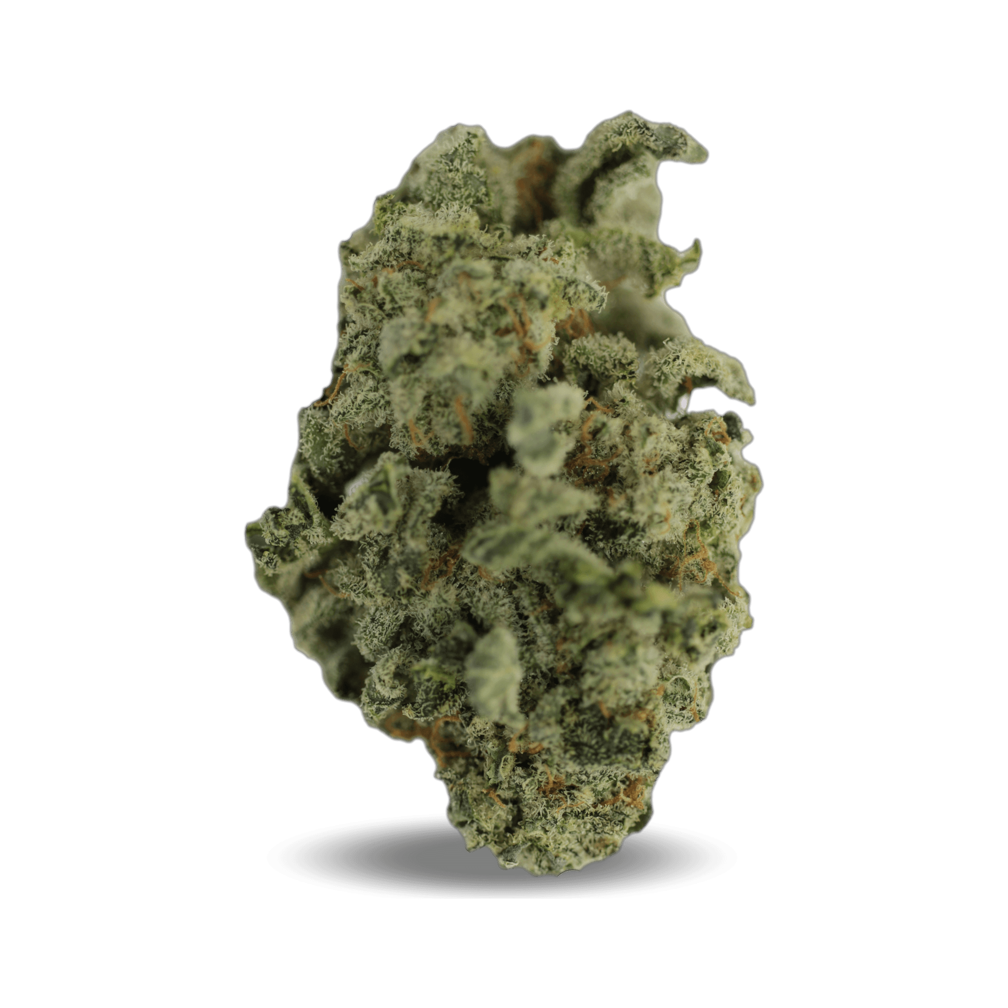 Tilray THC 18 Spotlight Porto Blueberry