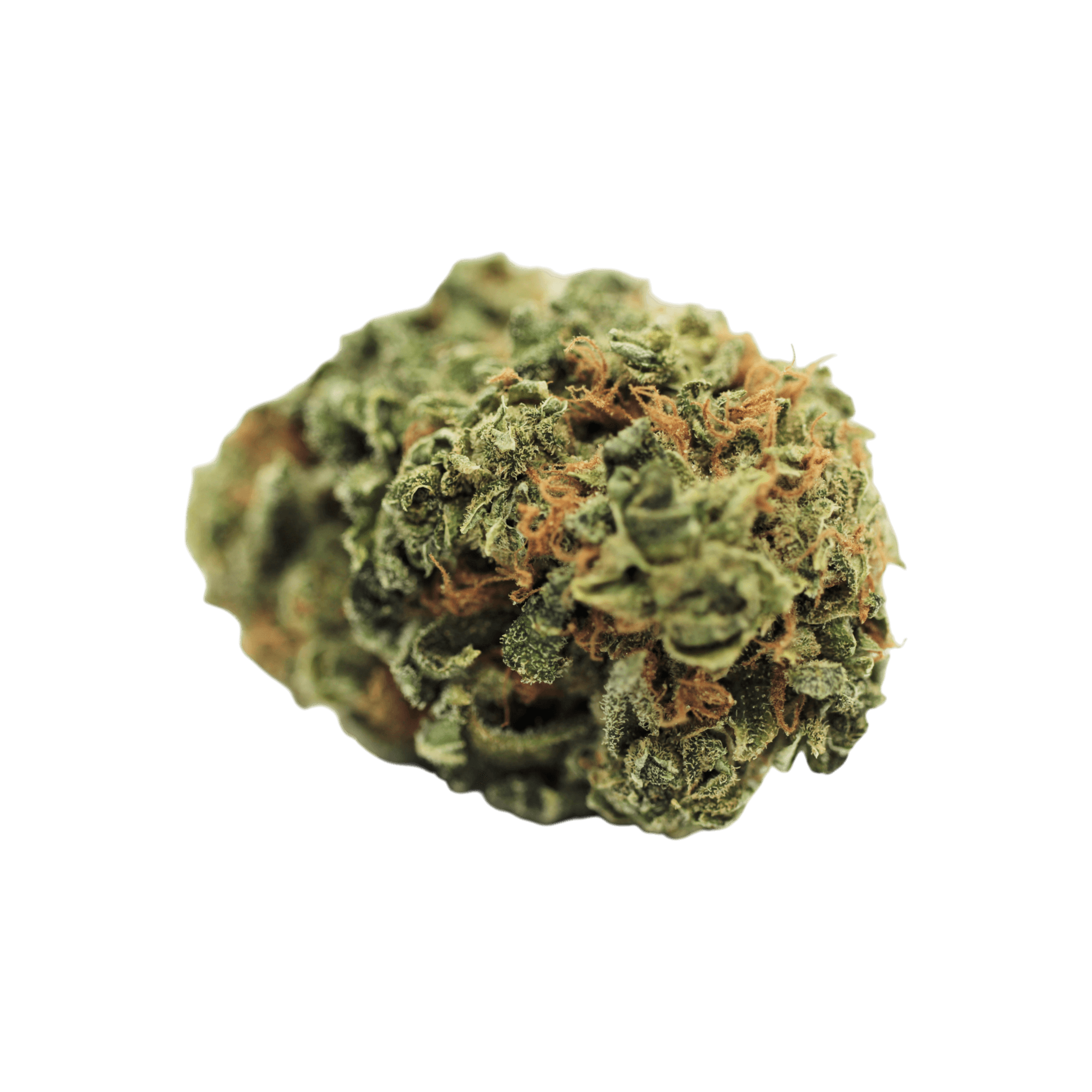 Tilray THC 18 Spotlight Porto GSC