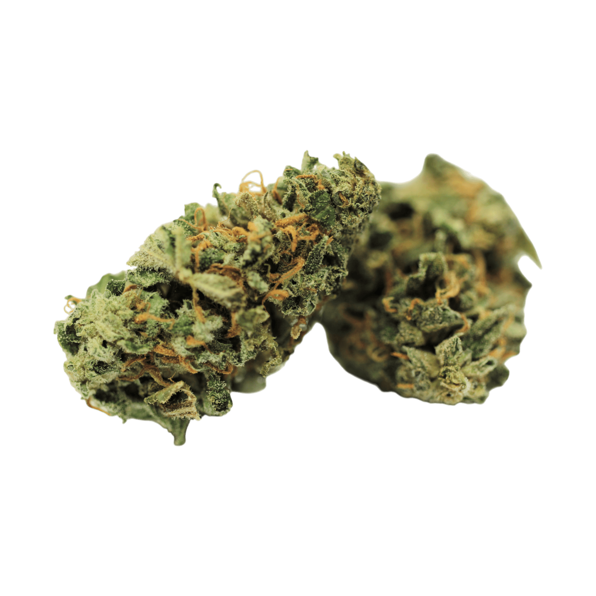 Tilray THC 22 Craft JGB