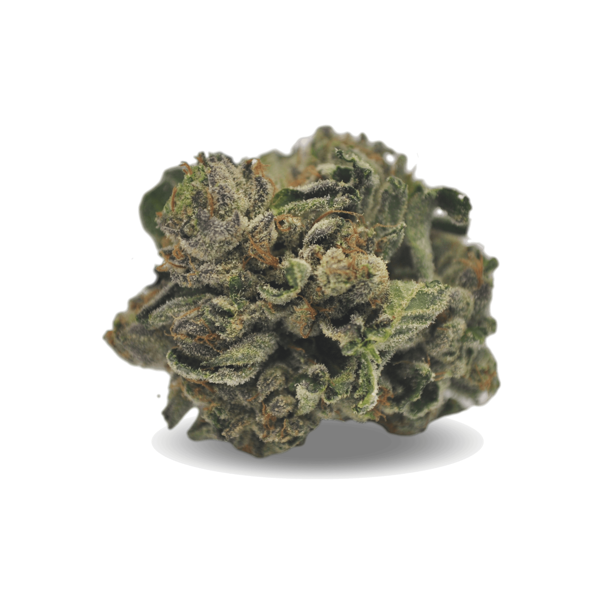 Med. Cannabis