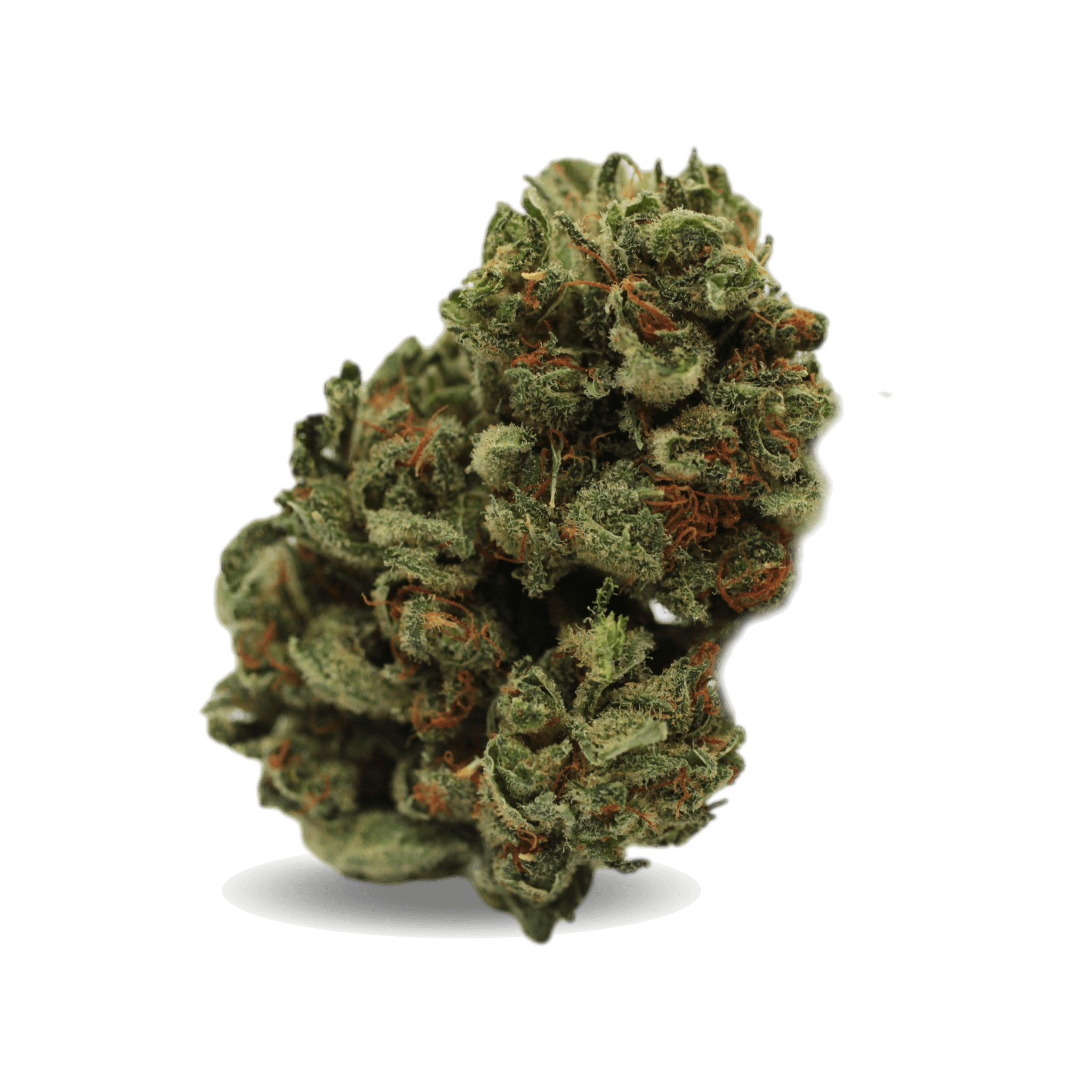 Tilray THC10:CBD10 No. 2 Warlock CBD