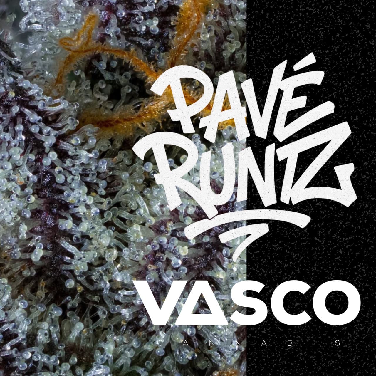 Vasco PR 27/1