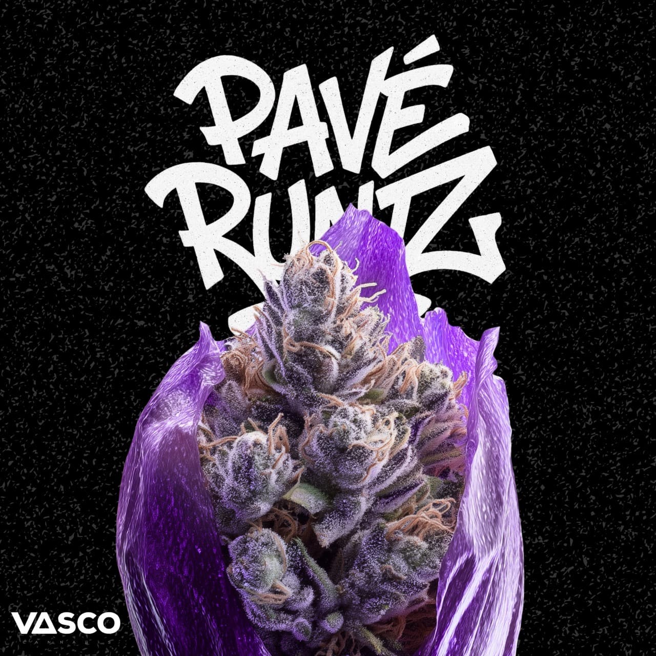 Vasco PR PT