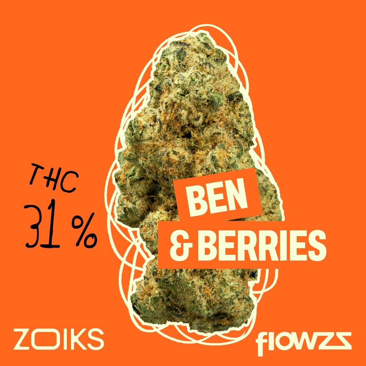 ZOIKS 31/1 BB